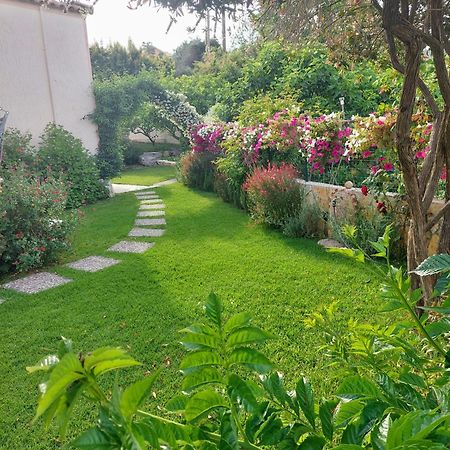 Summer Village House Popi Kanakades Ngoại thất bức ảnh