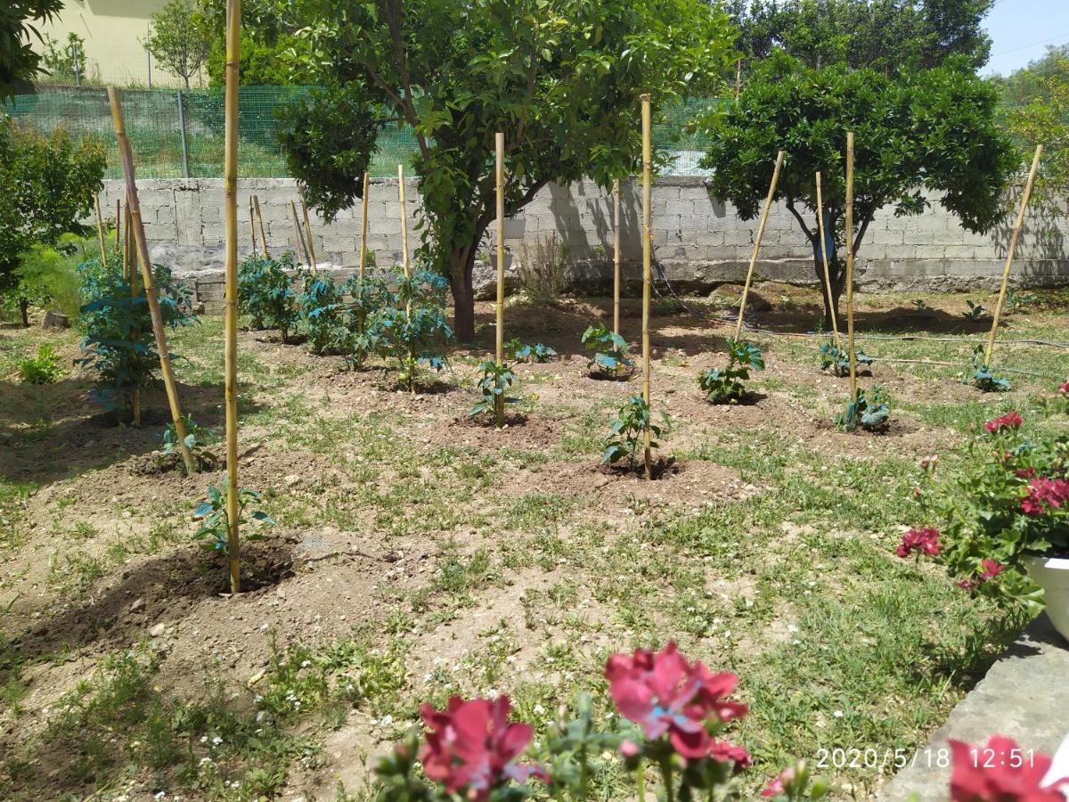 Summer Village House Popi Kanakades Ngoại thất bức ảnh