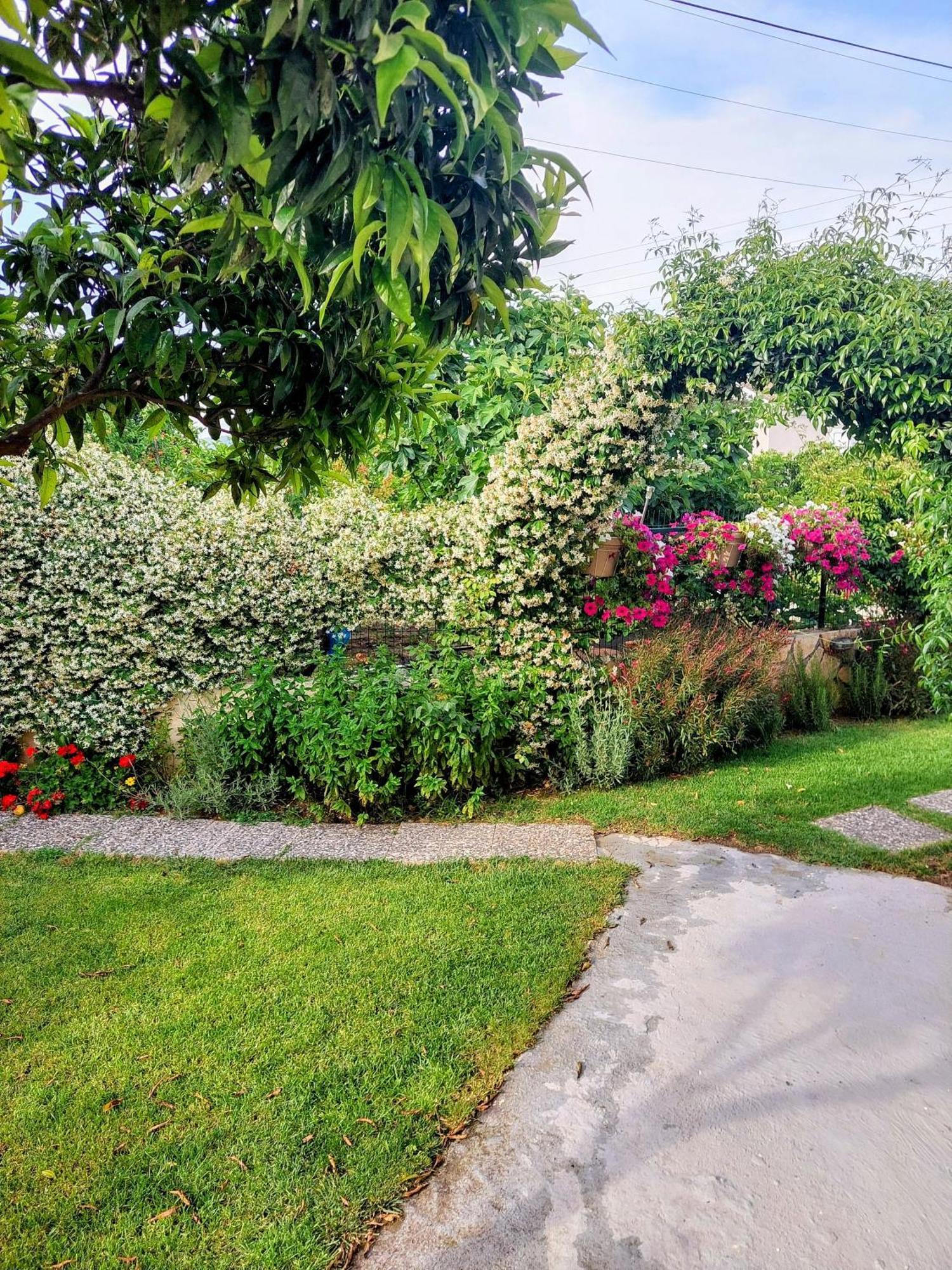 Summer Village House Popi Kanakades Ngoại thất bức ảnh
